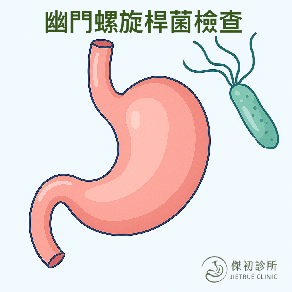 幽門螺旋桿菌檢查流程示意圖